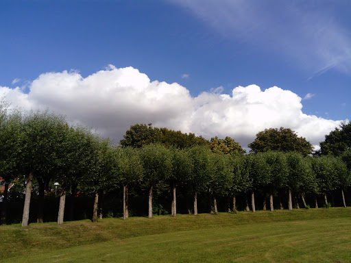 Lund Oval - Visual