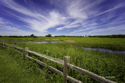 Pine Dunes Forest Preserve - Thumbnail