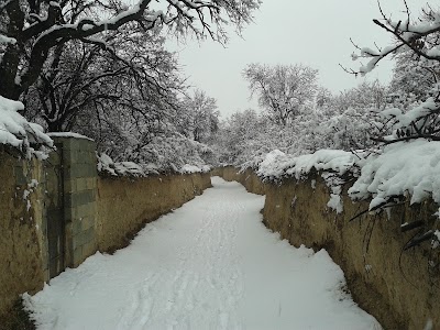 Photos of باغ های علی آباد کمین
