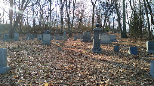 Needham Family Cemetery - Thumbnail