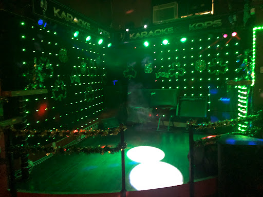 Karaoke Kops Gallery - Canada