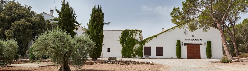 Finca Hoya de Cadenas (Centro de Enoturismo de Bodegas Vicente Gandía) Ctra. Utiel a Camporrobles, km 8.5 46313, Las Cuevas, Valencia, España