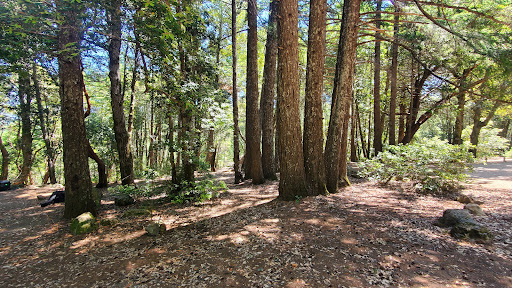 Tolkan Campground