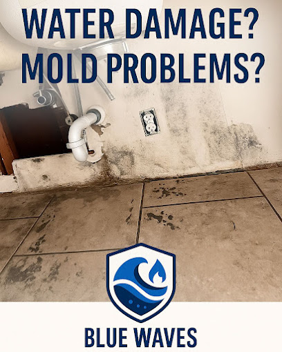 Blue Waves Restoration Inc