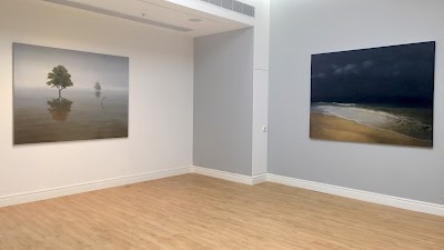 Photos of Leo Gallery