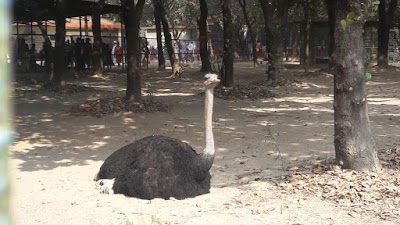 Photos of Zoo Bus Stand