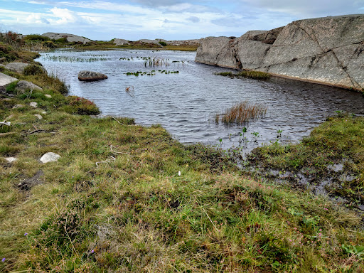Soteleden/Kuststigen Ramsvikslandet