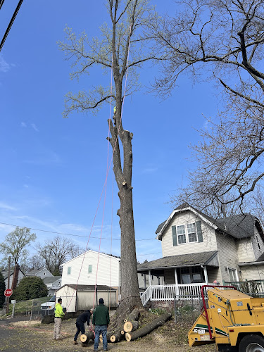 J&J landscaping and tree services