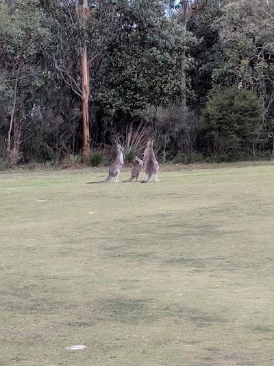 Leongatha Golf Club