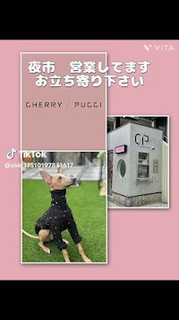 cherry pucci (チェリープッチ)