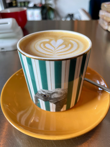 Bold Cafe & Restaurant by null