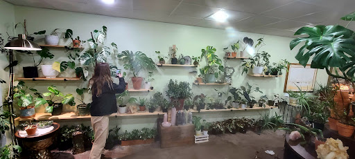 Art of Plants