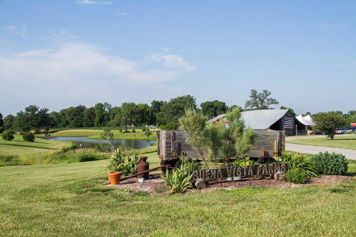 Buena Vista Farms Inc - Thumbnail
