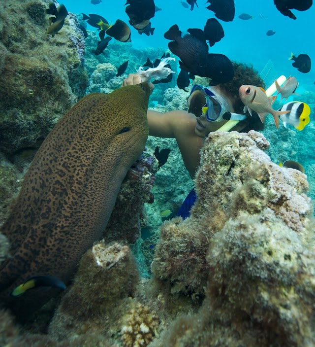 Bora Bora Lagoon Onoku Services