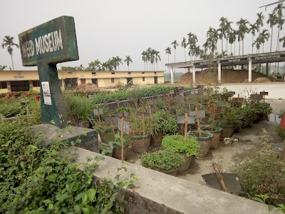 photo of Weed Museum