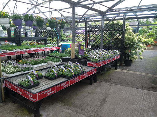 Holland Arms Garden Centre Gallery - United Kingdom