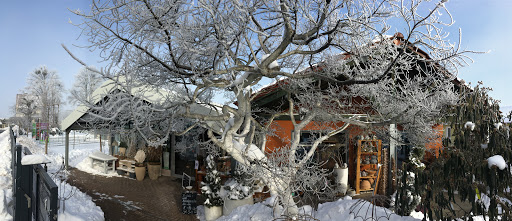 Gartenbau & Floristik Michael Möbius - Thumbnail