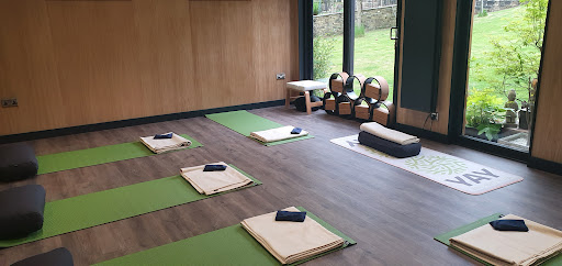 You And Yoga - Thumbnail