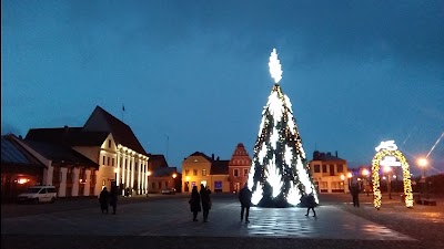 Photos of Rinkos aikste