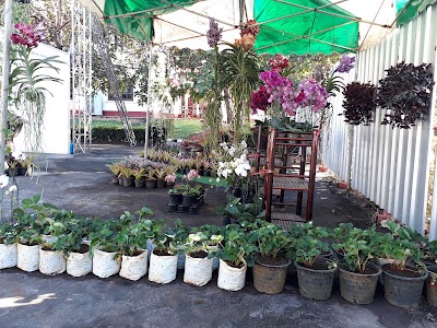 Photos of Champa Residence Boutique Green Hotel
