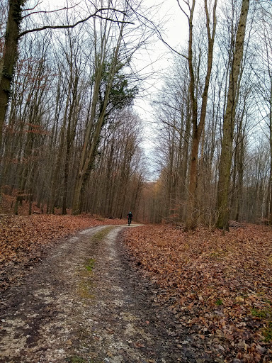 Komödienplatz - Thumbnail