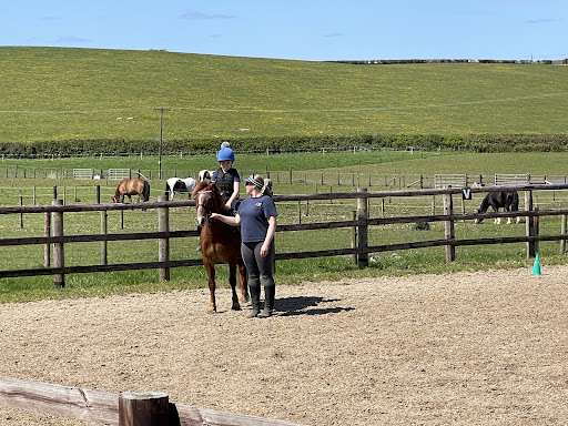 Louise Aram Equestrian Coach