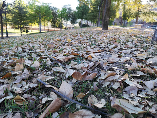 Parc dels Tubos - Thumbnail