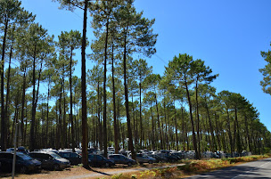 Photo n°13 de Camping Homair - Lou Pignada à Messanges (Logement indépendant avec services)