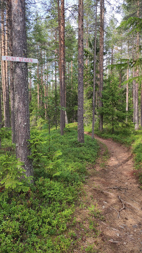 Starten till klintstigen Gallery - Sweden