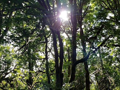 Ritner Creek Park