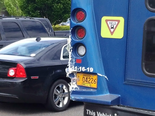 Umpqua Transit - Visual