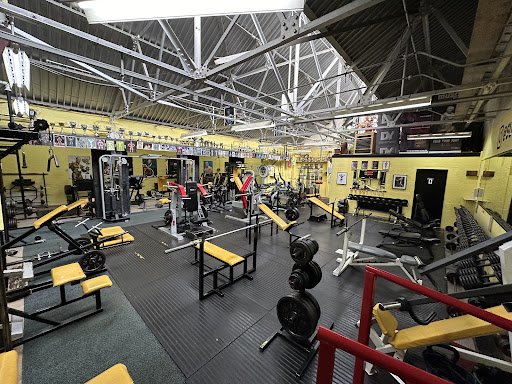 Sugar’s Gym - Thumbnail