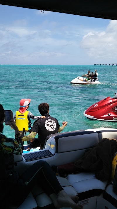 オハナアイランド good try