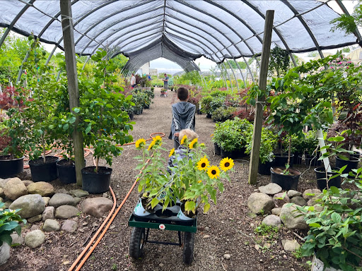 Stan's Garden Center - East Location - Thumbnail
