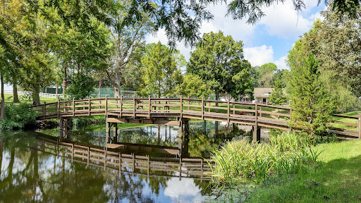 Orchard on the Brazos