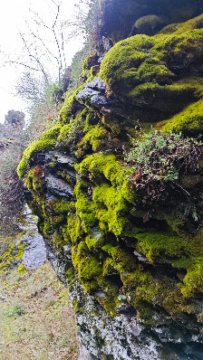 Sendero del Tranvía de la Sierra GR-3200, 18160 Güejar Sierra, Granada, España