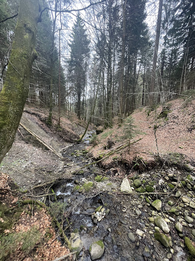 Falltobel - Visual
