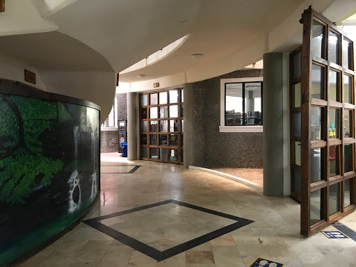 Biblioteca Sara E. Ocampo García - Thumbnail
