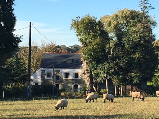 Photo de Au Domaine Des Camélias - Gîte et Chambres d'hôtes Morbihan à Pluméliau (56930)
