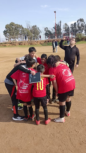 Opiniones de Cancha Quinto Sector en Viña del Mar - Tienda de deporte