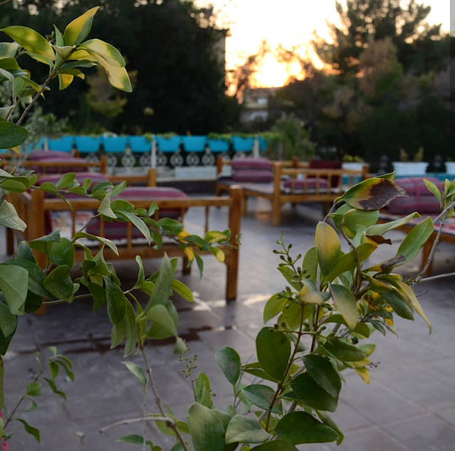 Sadr House of Art