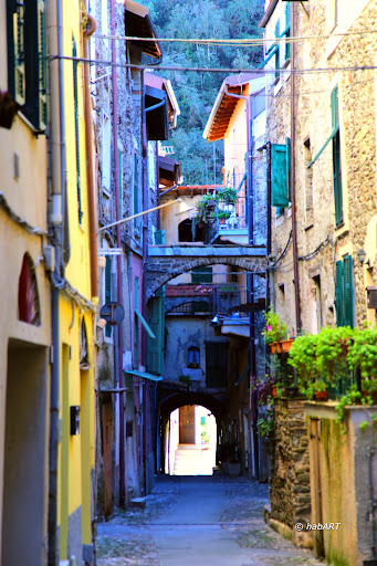 Isolabona - Visual