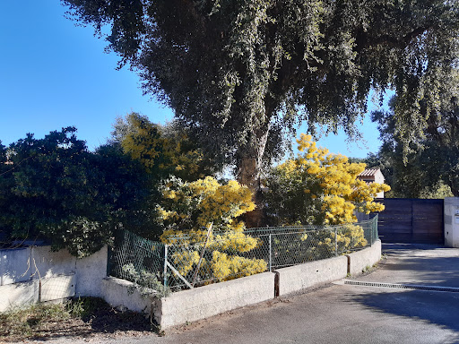 CapVanGo Gallery - France