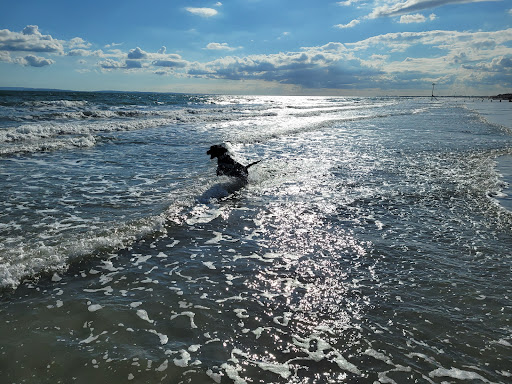 East Wittering Beach Front - Thumbnail
