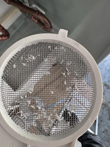 Woodlands, TX Plumbing Electrical Water Heaters & Air Conditioning Repair - Thumbnail