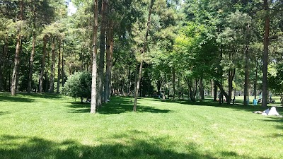 Photos of Park Of The Foundaton Of The First President Of The Republic Of Kazakhstan