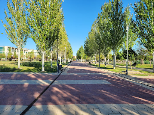 King Juan Carlos University Fuenlabrada Campus - Thumbnail