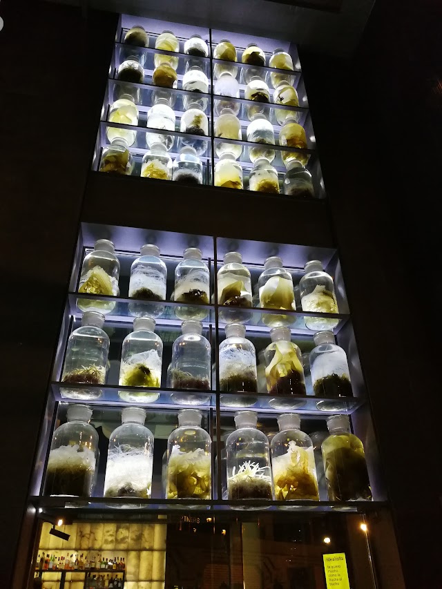 Glass Bar