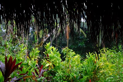 Photos of Hotelito Perdido