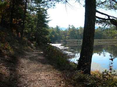 Braley Pond Day Use Area